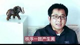 蕴含在比尔盖茨结婚、离婚中的，内在的美丑原理