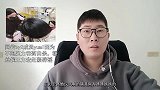 网传成员因为不堪压力吞药自杀，粉丝催王力宏赶紧辟谣