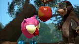 捣蛋猫头鹰：寄满希望的苹果，绵阳大哥和一只苹果聊天