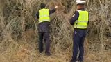 老人被困，交警徒手拨开带刺枝条营救老人