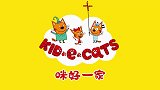 咪好一家之解忧猫