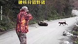 野猪的抗击打能力到底有多强，看到最后颠覆你的认知