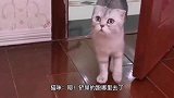 四川话搞笑配音：妈妈常常说，好东西就要学会分享