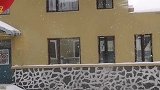 雪乡又下大雪啦！久违的大雪花。