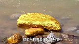 你见过这么大的黄金吗，遍地的黄金碎块随便捡，感觉捅了黄金窝！