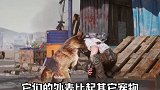 真正的云养狗！再也不用担心家被拆了明日之后第二季