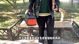 自驾游，户外露营最需要带什么？你一定需要一个户外电源
