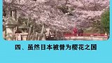 你不知道的日本冷知识