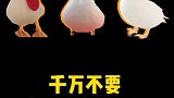 千万不要自己给小猫喂奶