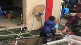 鱼摊老板的儿子，才两岁就帮爸爸杀鱼，动作娴熟老练，高人在民间