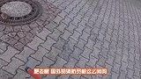 墙壁中传出呼救声，好心人凿开墙壁，找到了被困的小家伙