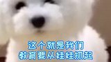 教育要从娃娃抓起！