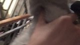 小老二今天跑出去了，我从27楼找到楼下又跑到32楼楼道找到的，一点累的感觉都没有！