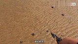 川子退潮后赶海，沙滩遍地都是海虹，捡海鲜意外收获大货海星！