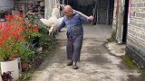 到口的鸭子飞了！农村搞笑段子