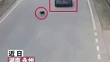 司机超车发生事故反怪狗惹的祸