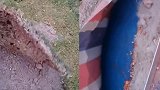 为达成绿化率开发商在塑胶跑道上铺草坪 被曝光直接铲掉跑道