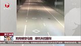 浙江台州：狗狗横穿马路 摩托失控翻车