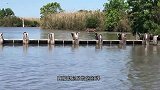 河边拍到一跳远高手，原地起跳，跳过5m宽的河！