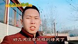 鸽子憋了好几天了放出来溜溜！等了好久才等来个晴天！