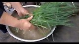 苗大姐二斤五花肉三斤葱，炒上一锅，吃了米饭一碗