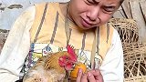 《小鸡不吃饭》