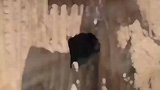 挖着挖着突然出来一个洞，老板进去看后开心坏了
