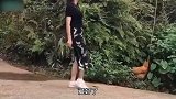 美女抓鸡有一套,假装路过趁鸡不注意,那叫一个稳准狠