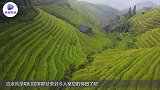 世界最漂亮的梯田，不种植物专注沐浴，泡温泉还是免费的
