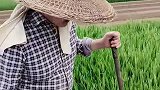 山东第一大懒汉朱之文，成名后为什么变勤快了？