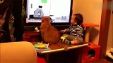 橘猫和小主人看完电视后，同时转头看向妈妈，太可爱了！