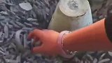 随便抓一个都能做嫁妆，用水冲干净后，成品也太漂亮了！