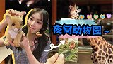 vlog 30 夜间动物园