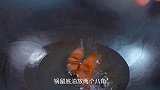 鸡蛋新吃法酱油煎蛋，酱香浓郁，一口一个配米饭特别满足