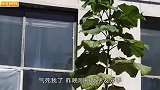 爆笑：看着挺斯文的一个妹子，没想到私底下这么狂野