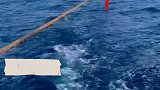 绳子断了一根又一根“不管多艰难一定把你拖到岸