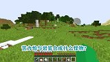 游游解说我的世界，苦力怕与岩浆合成什么怪物？