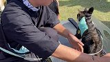 自律使猫自由 哈哥猫妹 兰州老街老地方见  兰州老街