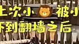 二师兄误入狮群，发飙吓坏百兽之王，都说了我是天蓬元帅你们不信