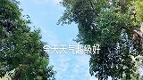 凯文的第一期vlog，我们回重庆啦，成都以后再见哦