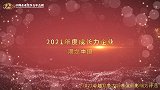 2021年度成长力企业港龙中国