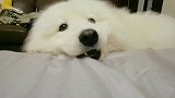 修勾勾出去多玩几次怎么啦？