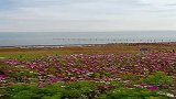 大美青海湖，二郎剑景区，景色优美，甚是迷人