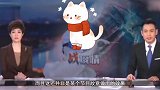 央视直播间乱入小野猫？猫叫声录入节目播出，新闻收视率屡创新高