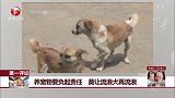 流浪犬伤人事件频发，你觉得该如何治理？