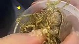 东北女子网购2只乌龟收到变冻干龟