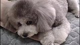 这一天可有办法了