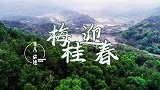《非凡讲述》之 梅桂迎春
