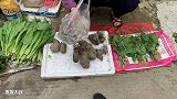 这样的小吃你肯定没吃过 外焦里糯的煎薯粿 好吃到没朋友