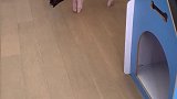 老四的新房子